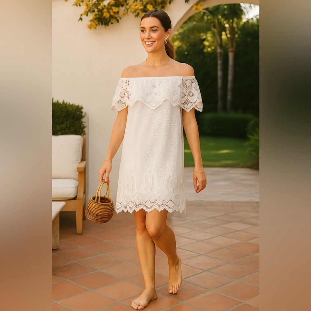 Tuckernuck White Lace Avalon Mini Dress